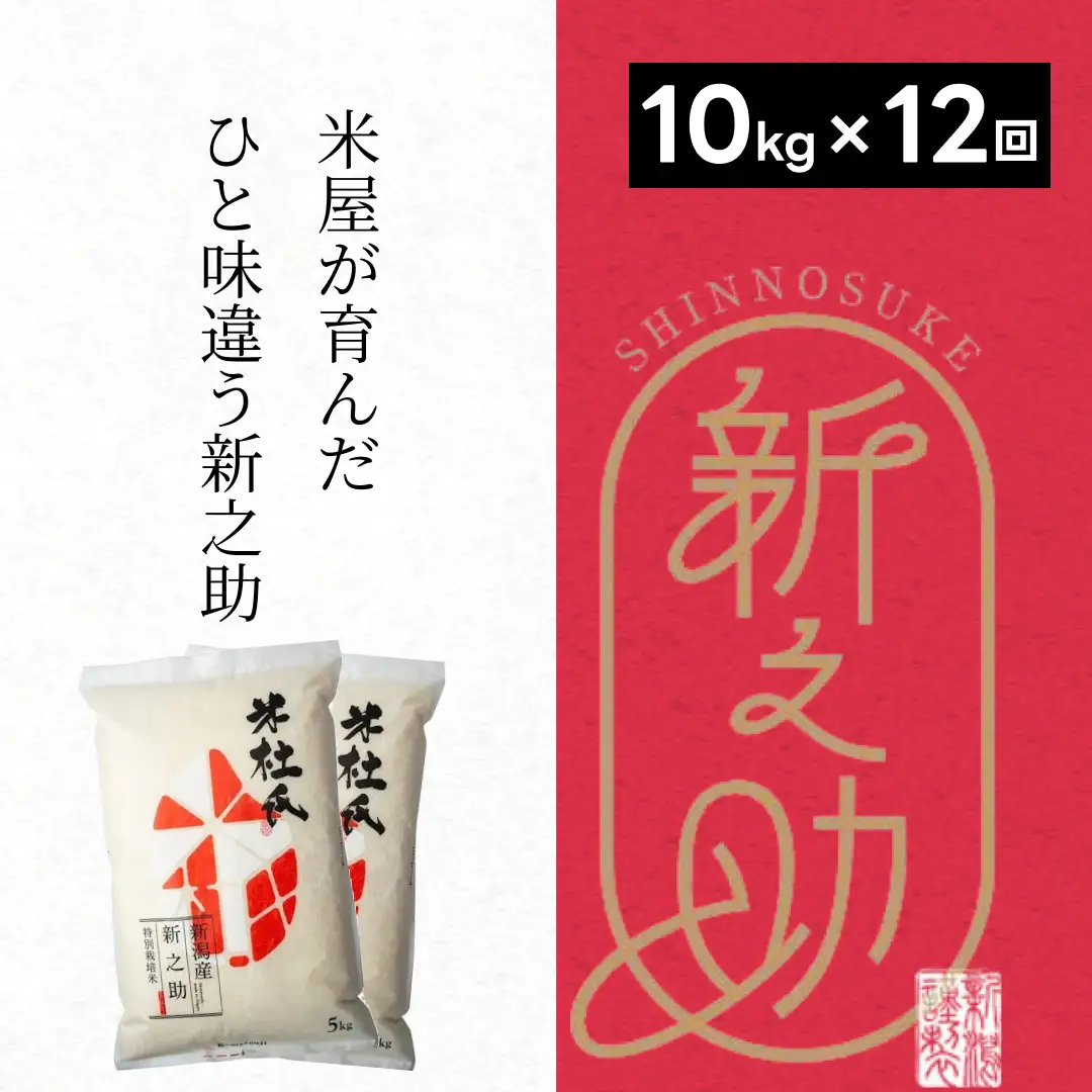 【令和8年産新米】【12ヶ月定期便 】 特別栽培米 新之助 10kg (5kg×2袋)×12回 米杜氏 壱成 白米 精米 大粒 つや 光沢 弾力 芳醇 新米 1H30336