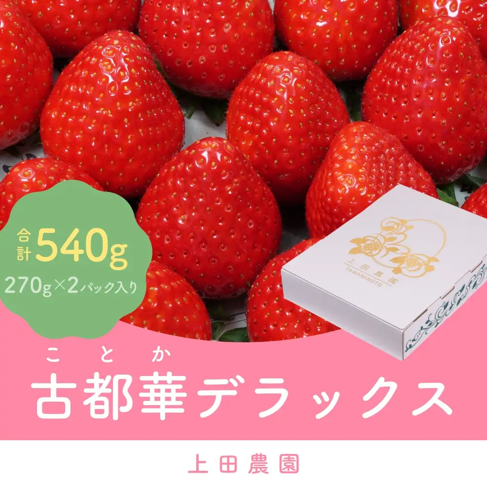 （冷蔵）【１月発送分】イチゴ 奈良県産高級ブランド品種「古都華」デラックス（270g×２パック） ／ ストロベリー ことか 上田農園 苺 いちご 果物 フルーツ 甘い 奈良県 田原本町