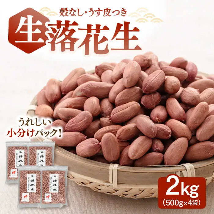 生 落花生（ピーナッツ） 500g×4袋 [ADAM014] 生ピーナッツ 落花生 人気