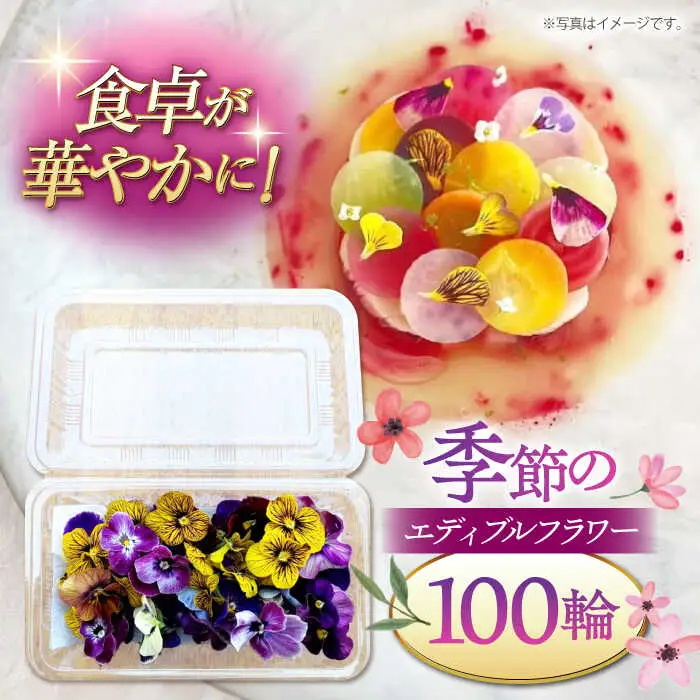 季節のエディブルフラワー100輪おまかせ 桂川町/NOGAMI FARM [ADAU002] 食用 花 食用花