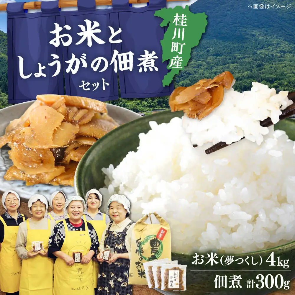  桂川町産 白米 4kg と しょうがの佃煮セット [ADAI001] 米 佃煮