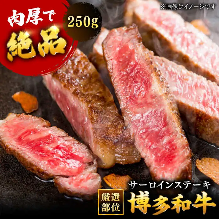 博多和牛 サーロイン ステーキ 250g [250g×1枚]  [ADAQ004] ステーキ 黒毛和牛