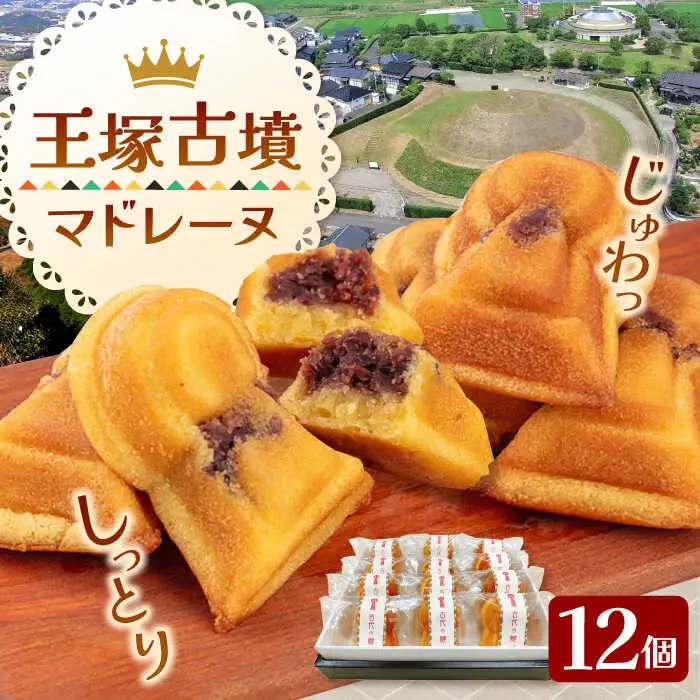 王塚古墳マドレーヌ（12個入り） [ADAJ001]  焼菓子マドレーヌ