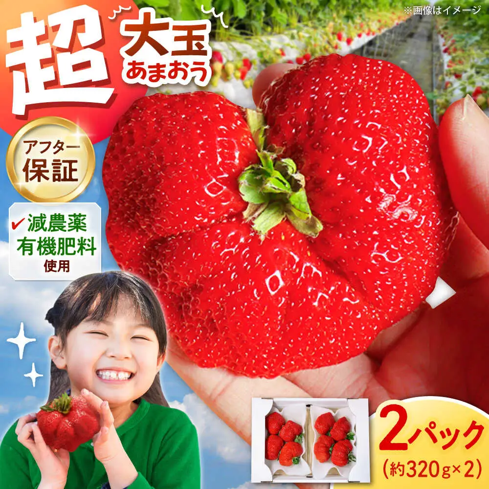 【2027年度先行予約】超大玉あまおう  約320g×2 [ADAT001] あまおう