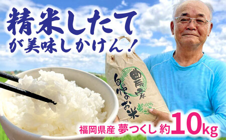 福岡県桂川町産夢つくし 白米 （玄米 10kg を発注後 精米 してお届け！） 桂川町/一般社団法人地域商社いいバイ桂川 [ADBB001] 夢つくし 福岡 白米 米 コメ 米 おにぎり