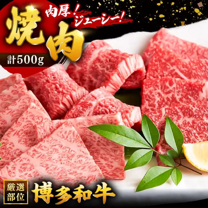 博多和牛 焼肉 用 500g 国産 桂川町/株式会社 MEAT PLUS [ADAQ009] 和牛 焼肉 焼き肉 BBQ 冷凍 牛肉