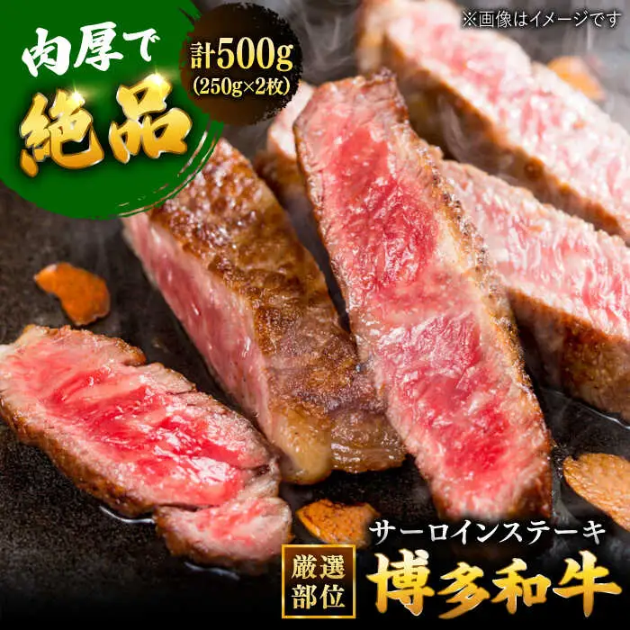 博多和牛 サーロイン ステーキ セット 500g [250g×2枚] 桂川町/株式会社 MEAT PLUS [ADAQ010] 和牛サーロイン 国産 サーロイン ステーキ ステーキ用