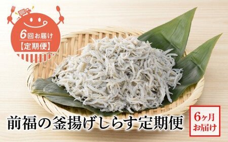 【定期便 6回】前福の釜揚げしらす定期便（毎月お届け）_E60-T05n