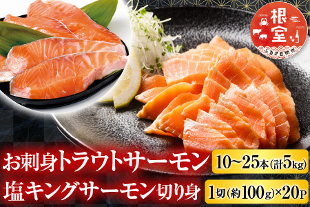 お刺身トラウトサーモン10～25本(計5kg)＆塩キングサーモン切り身1切(約100g)×20P E-09009