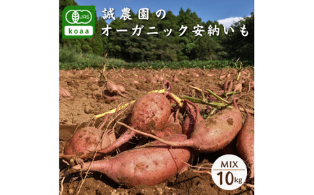 種子島 産 オーガニック (有機) 種子島安納いも (誠農園) 10kg　NFN538 【850pt】