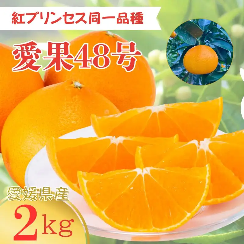 【2027年3月上旬より順次発送予定】愛果48号 2kg L～2Lサイズ｜B169