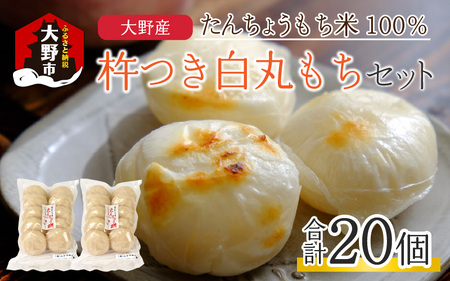 【先行予約】「杵つき白丸もちセット20個」(80g × 20個） 大野産たんちょうもち米使用