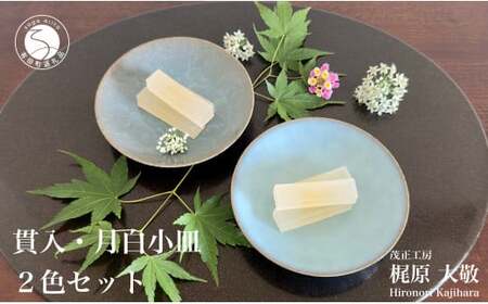 有田焼 貫入月白小皿 2色セット【梶原大敬 茂正工房】器 うつわ 食器 皿 取皿 小皿 菓子皿 2枚 セット ペア 青磁 貫入 青 夏 上品 シンプル 作家 ろくろ 電子レンジ対応 ak018