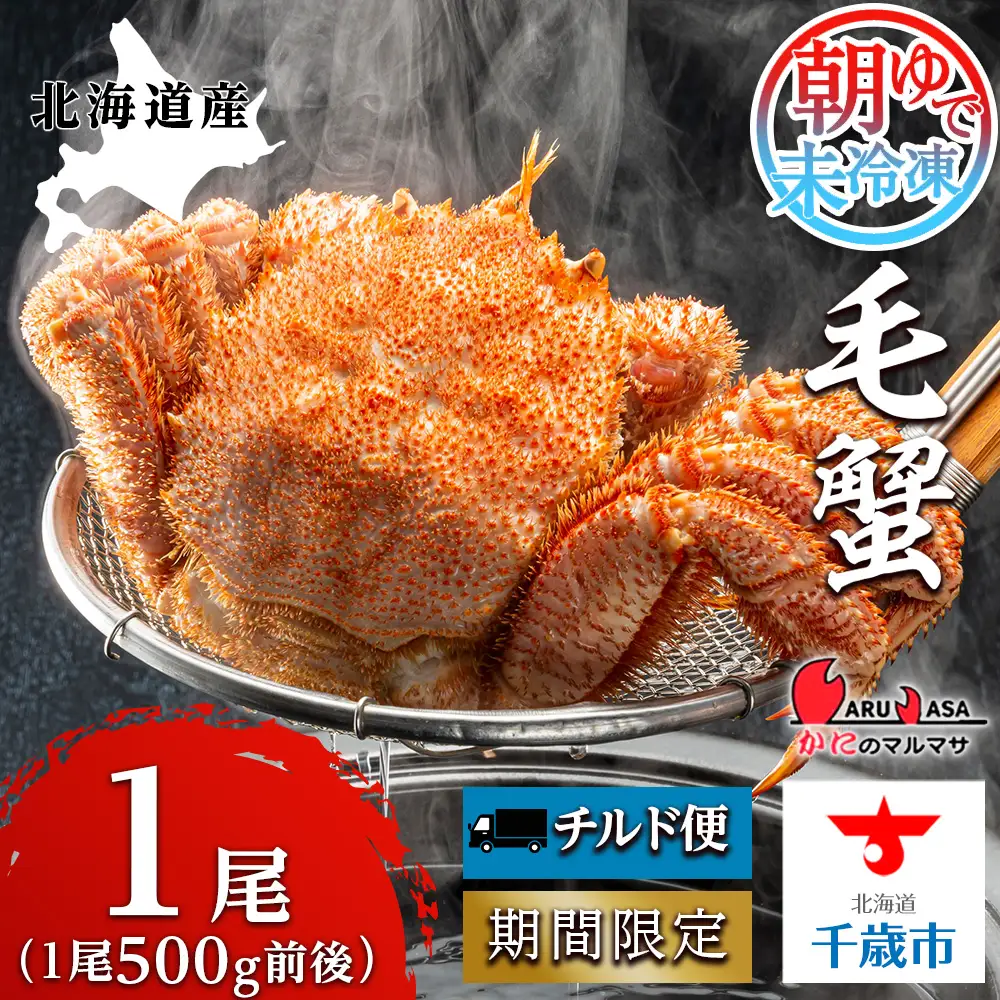 北海道産【朝ゆで】毛ガニ（500g前後）1尾 期間限定！＜かにのマルマサ＞ かに 毛がに カニ 千歳 北海道 海鮮