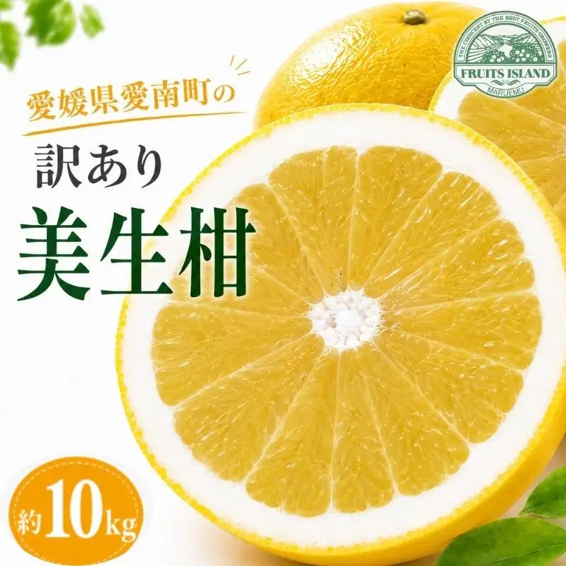 訳あり 美生柑 みしょうかん 約10kg 河内晩柑 かわちばんかん 柑橘 愛媛 愛南 マルエム直販