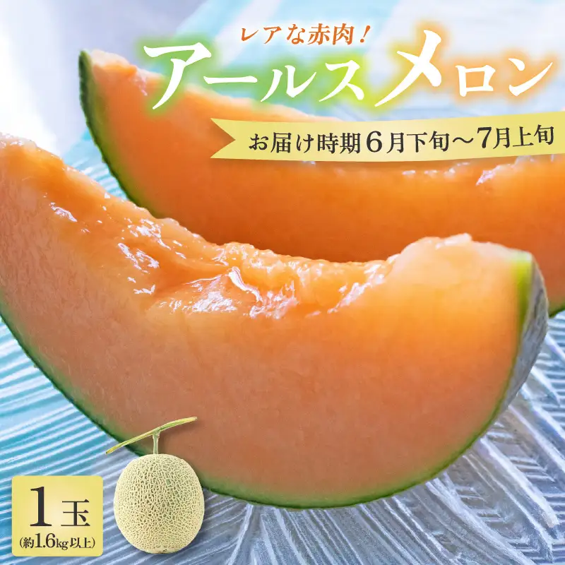 【先行予約】アールスメロン 1玉（約1.6kg以上）赤肉品種 高級メロン！ ／ マスクメロン 大玉 果物 フルーツ 夏 ギフト 農家直送 ※2027年6月下旬以降順次発送予定 [aw065-a003]