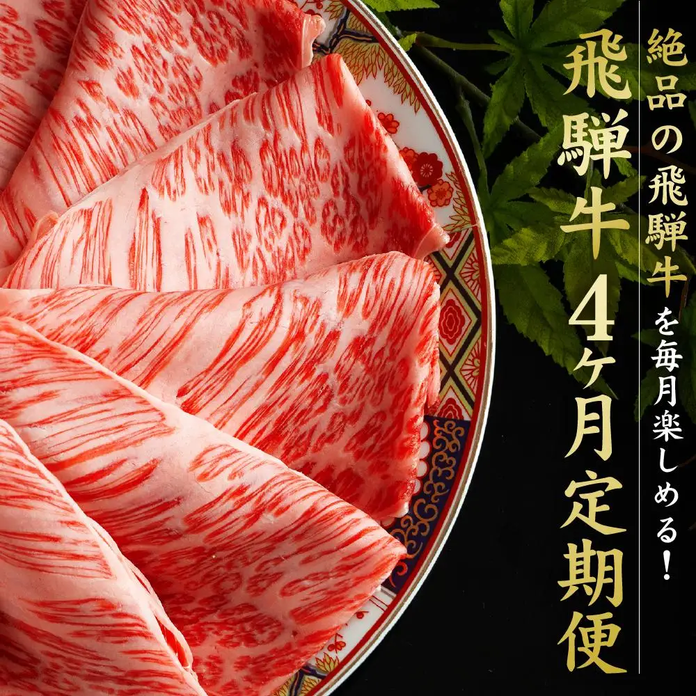 満喫飛騨牛4ヶ月定期便（全4回）牛肉 しゃぶしゃぶ すき焼き ステーキ 切り落とし 定期便 FC104