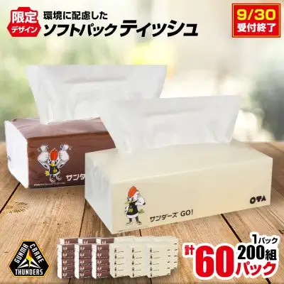 群馬クレインサンダーズ応援ソフトパックティッシュ 400枚(200組)×60パック　9/30受付終了_ティッシュ ティッシュペーパー ソフトパック まとめ買い ソフト 箱なし 群馬県 太田市 ふるさと_【配送不可地域：離島・沖縄県】【1422589】