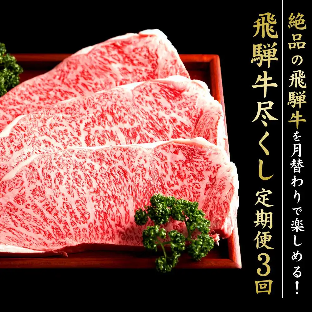 満喫飛騨牛3ヶ月定期便（全3回）牛肉 しゃぶしゃぶ ステーキ 切り落とし 定期便 FC101