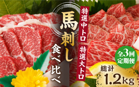 【3回定期便】特選霜降り馬刺し 中トロ大トロ2種食べ比べセット 計400g（各2pc）【馬刺しの郷 民守】2種馬刺しセット 中トロ 大トロ 熊本 特選  [ZBL051]
