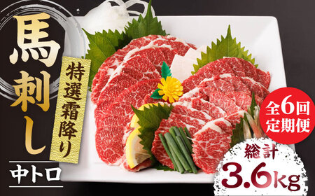 【6回定期便】特選霜降り馬刺し（中トロ）計600g（6pc）【馬刺しの郷 民守】 九州 冷凍 特選 中トロ トロ [ZBL071]