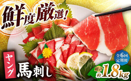 【6回定期便】ヤング馬刺し 計300g（3pc）【馬刺しの郷 民守】馬肉 熊本県 特産品 馬刺し [ZBL074]
