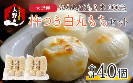 【先行予約】「杵つき白丸もちセット40個」(50g × 40個） 大野産たんちょうもち米使用 
