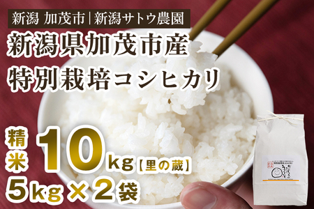 【令和8年産新米先行予約】化学肥料不使用 従来コシヒカリ 【里の蔵10kg】 《10月上旬～順次出荷》 新潟県産 新潟産 従来品種 特別栽培 従来品種 有機肥料 精米 米 お米 加茂市 新潟サトウ農園