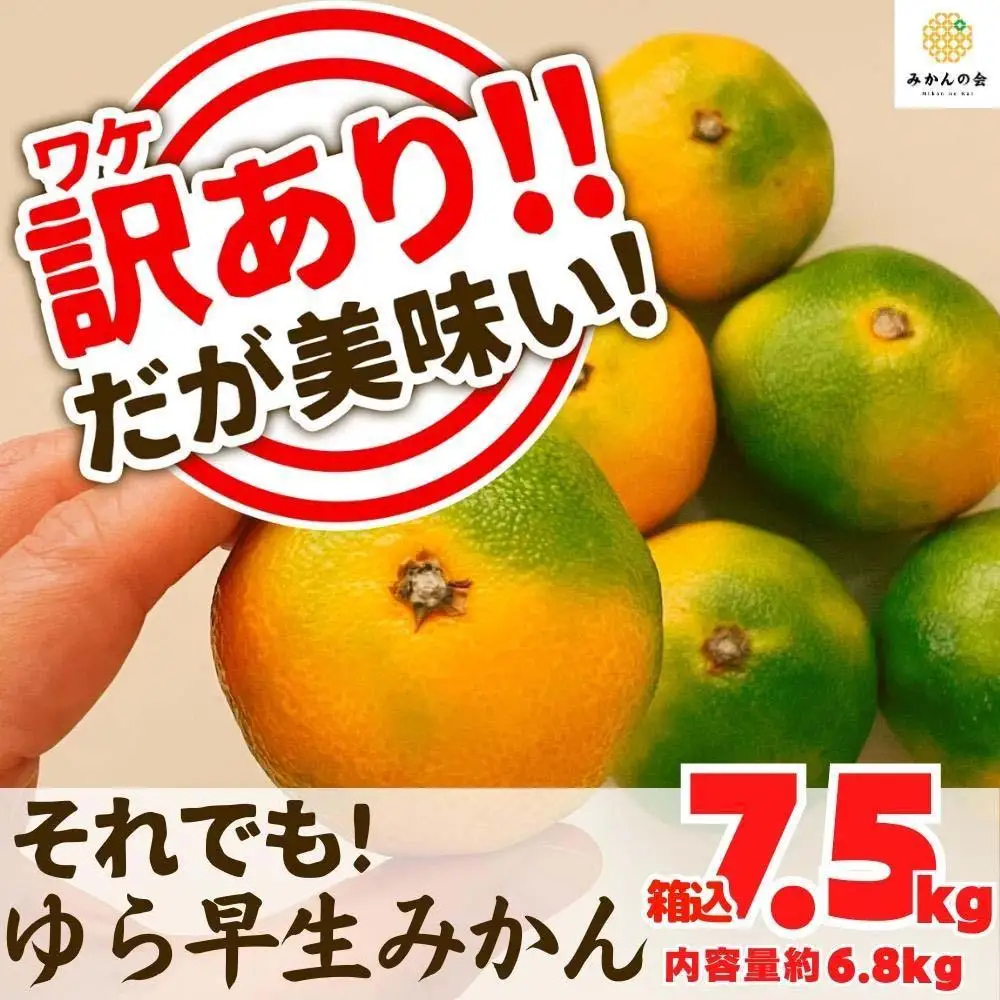 訳あり ゆら早生 みかん 箱込7.5kg(内容量 6.8kg)サイズミックス 有田みかん 和歌山県産 【みかんの会】［2026年10月下旬頃より順次発送予定］