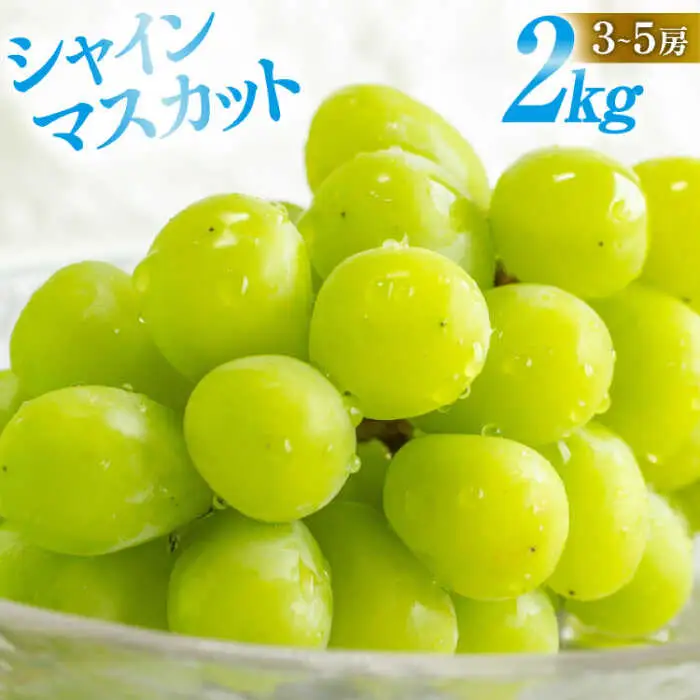 【2027年8月中旬-発送】シャインマスカット2kg [SCB084] シャインマスカット