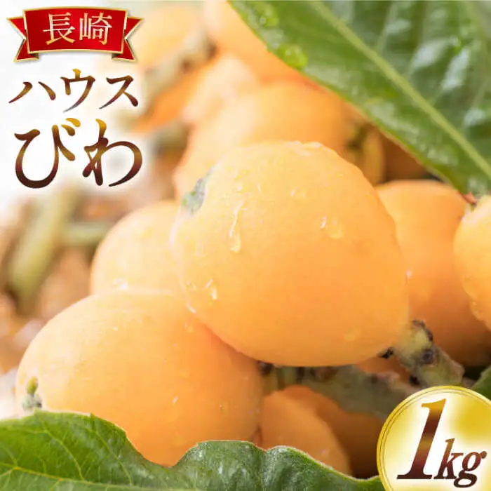 【2027年4月中旬-発送】びわ ハウスびわ 約1kg [SCB089] 