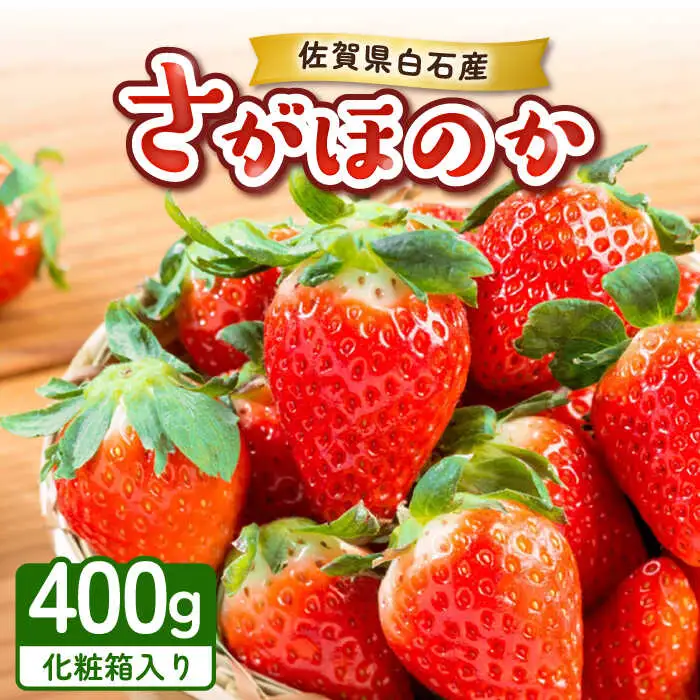 【2027年1月以降順次発送】【化粧箱入り】白石産いちご「さがほのか」400g / 佐賀県 いちご / 岸川農園 [41ASAG003]