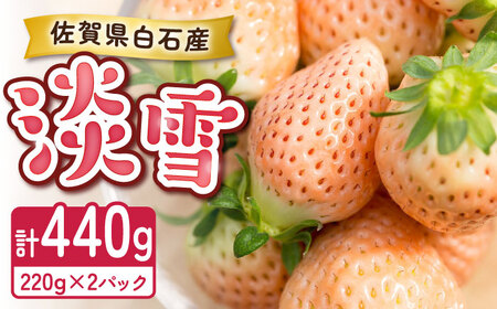 【2027年1月以降順次発送】淡いピンクの白いちご「淡雪」220g×2パック / 佐賀県 いちご / 岸川農園 [41ASAG004]