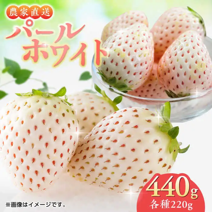 【2027年1月中旬より順次発送】佐賀県産 パールホワイト 約220g×2パック / いちご 果物 / 佐賀県 / かわさきいちご [41ASBJ003]