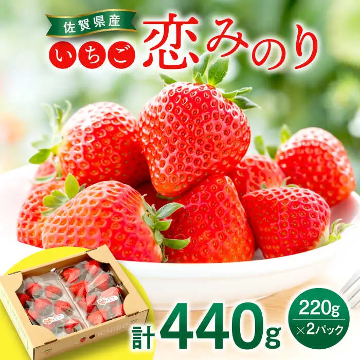 【2027年1月より順次発送】佐賀県産いちご 恋みのり 220g×2パック / 佐賀県 / 鐘ヶ江農園 [41ASBK001]