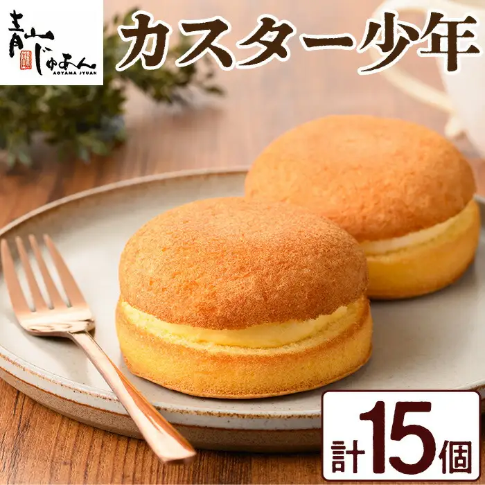 No.1048 カスター少年(15個入)鹿児島 日置市 特産品 お菓子 洋菓子 菓子 おかし スイーツ おやつ  カスタード クリーム 冷凍 冷凍配送 ギフト【青山じゅあん】