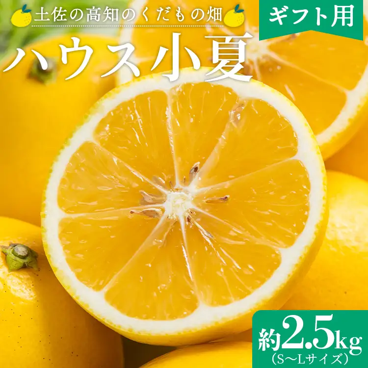 【2027年出荷分】小夏 (日向夏) 小夏 2.5kg ギフト用 kd-0031