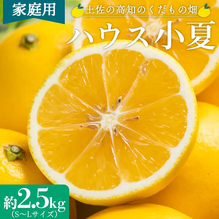 【2027年出荷分】日向夏 ハウス小夏 2.5kg(家庭用) 日向夏 高知県産 kd-0029