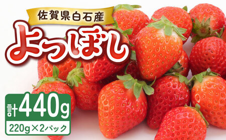 【2027年1月以降順次発送】よつぼし（220g×2パック） / 佐賀県 いちご 苺 いちご / 岸川農園 [41ASAG038]