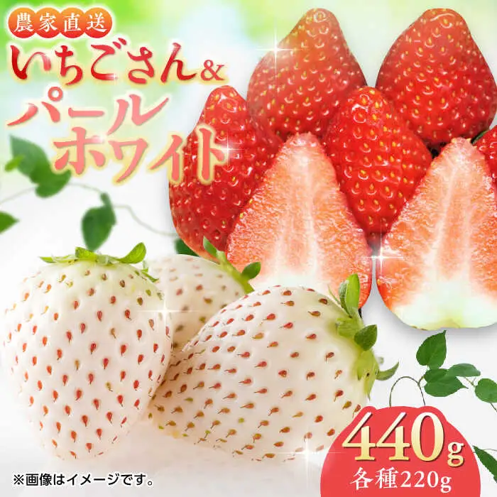 【2027年1月中旬より順次発送】紅白いちごのセット 佐賀県産 いちごさん・パールホワイト各220g / 佐賀県 / かわさきいちご [41ASBJ001]