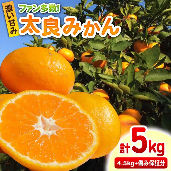 【2026年10月下旬以降発送】完熟 太良みかん 計5kg（4.5kg＋500g傷み保証分） / 佐賀県 / 山本農園 [41ATBT003]