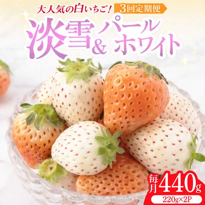 【全3回定期便】白いちご2種（淡雪・パールホワイト）/ いちご イチゴ 苺 果物 フルーツ 定期便 / 佐賀県ふるさと納税 [41AAZZ001]