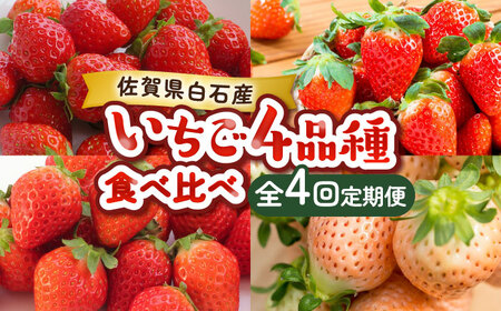 【全4回定期便】苺 4品種食べ比べ（いちごさん・さがほのか・よつぼし・淡雪） / 苺 / 佐賀県 / 岸川農園 [41ASAG033]