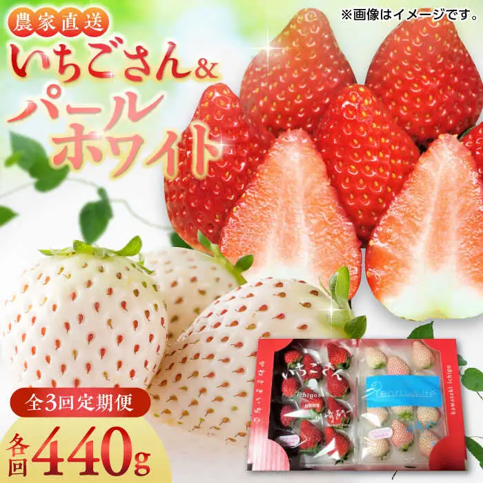 【全3回定期便】いちごさん・パールホワイト各220g 詰め合わせ / 佐賀県 / かわさきいちご [41ASBJ008]