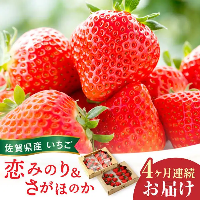 【全4回定期便】交互にお届け！恋みのり・さがほのか 220g×2パック×4回 / 佐賀県 / 鐘ヶ江農園 [41ASBK002]
