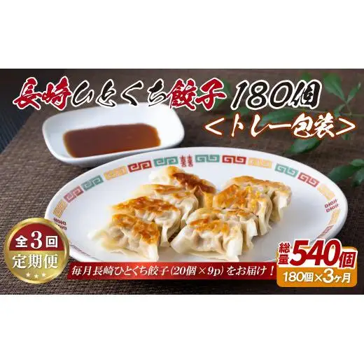 長崎ひとくち餃子〈トレー包装〉180個【3回定期便】