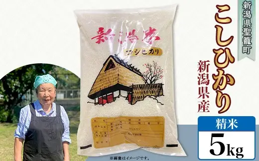 【精米】新潟県産コシヒカリ5kg（特別栽培米）近藤農園