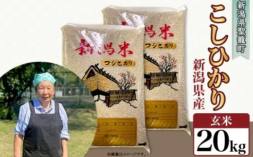 【玄米】新潟県産コシヒカリ20kg（特別栽培米）近藤農園