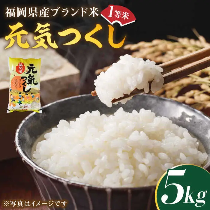 【令和7年産】福岡県産ブランド米「元気つくし」白米 5kg【2025年11月以降順次発送】 [ABDD001]