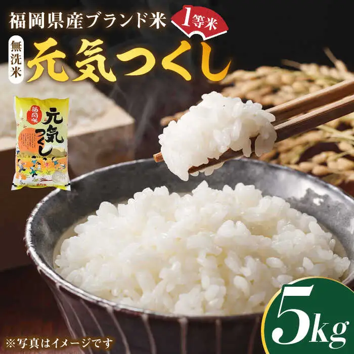【令和7年産】福岡県産ブランド米「元気つくし」無洗米 5kg【2025年11月以降順次発送】 [ABDD002]